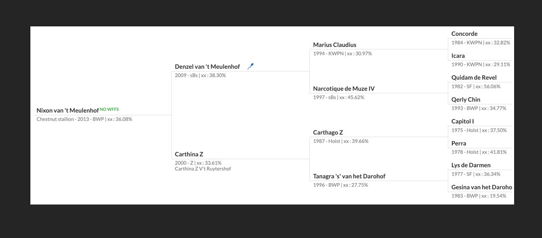 The pedigree of Nixon van't Meulenhof